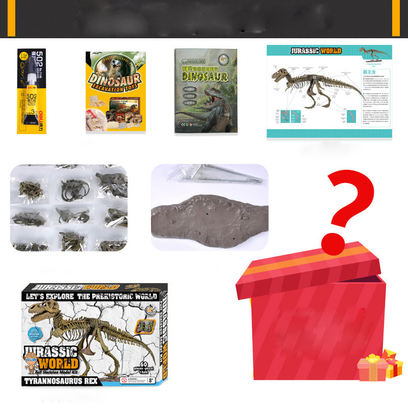 3D DIY Tyrannosaurus Rex Skeleton Fossil Large Model  Kit