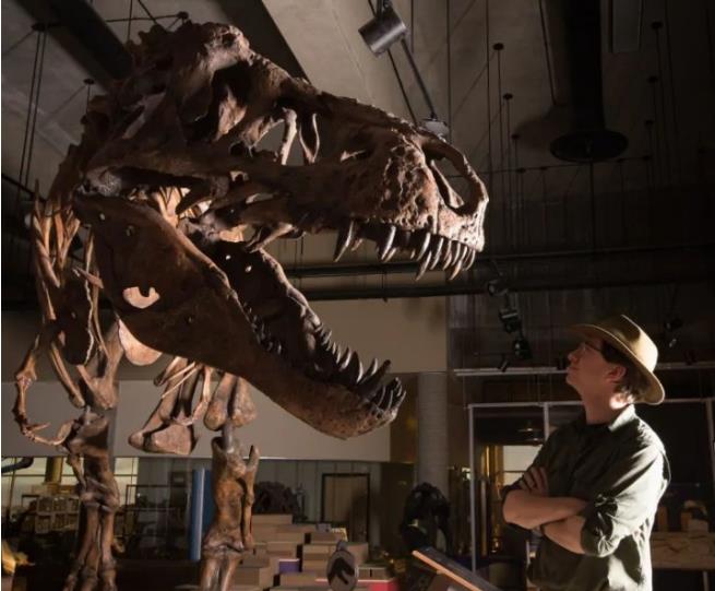 How much do you know about Tyrannosaurus Rex?