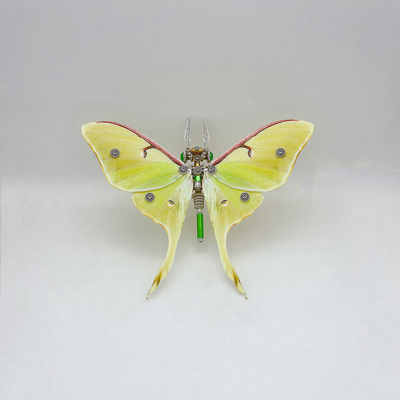 Laden Sie das Bild in Galerie -Viewer, {200PCS Steampunk moth metal puzzle model kit
