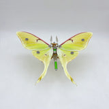 200PCS Steampunk moth metal puzzle model kit