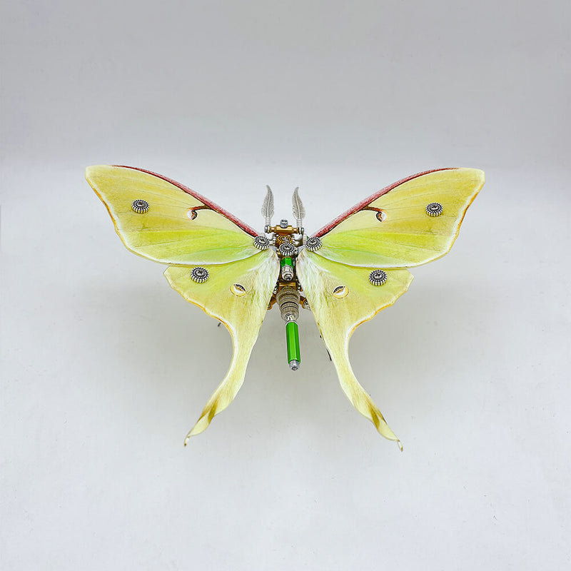 Laden Sie das Bild in Galerie -Viewer, {200PCS Steampunk moth metal puzzle model kit
