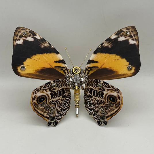 Steampunk butterfly Delias mysis 200PCS 3D metal puzzle model kit