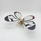 Steampunk Butterfly Lepidoptera Metal Puzzle Model Kit for Adults and Kids