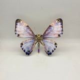 Steampunk butterfly Neoris hewitsoni metal puzzle model kit