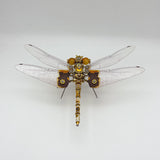 steampunk dragonfly oblique mole metal puzzle model kit