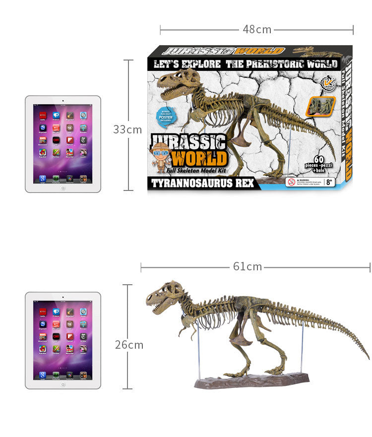 3D DIY Tyrannosaurus Rex Skeleton Fossil Large Modèle Kit de modèle