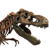 3D DIY Tyrannosaurus Rex Skelett Fossil Large Model Kit