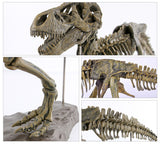 3D DIY Tyrannosaurus Rex Skeleton Fossil grote modelkit