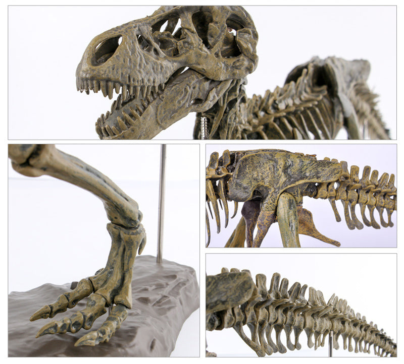Load image into Gallery viewer, 3D DIY Tyrannosaurus Rex Skeleton Fossil Large Model  Kit
